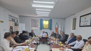 بررسی زیرساخت‌های حیاتی شبکه برق شهرستان نجف‌آباد