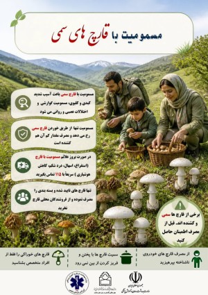 مسمومیت با قارچ های سمی