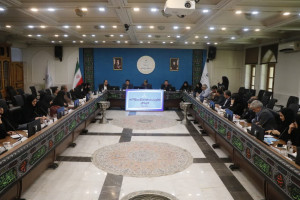تدوین سند مهاجرت معکوس در شهرستانها با کمک سازمان‌های مردم نهاد