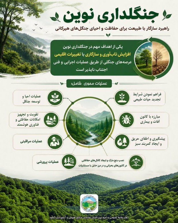 راهبرد سازگار با طبیعت برای حفاظت و احیای جنگل‌ها
