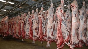 کشف و انهدام باند توزیع گوشت‌های آلوده در اصفهان