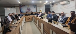 تأکید بر پایداری شبکه