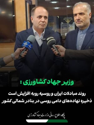 ذخیره نهاده‌های دامی روسی در بنادر شمالی کشور