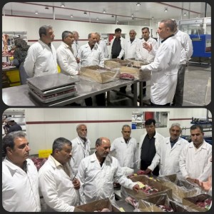 گامی در جهت تقویت زنجیره تأمین شیر و گوشت استان