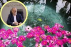 شمیم افتخار و سرمایه سبز ایران زمین