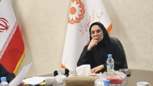 برگزاری نشست کمیته تملک دارایی‌های سرمایه‌ای