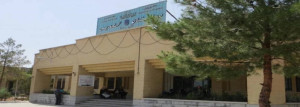 اجرای طرح‌های سبز در بیمارستان گلدیس با هدف صرفه‌جویی در مصرف آب
