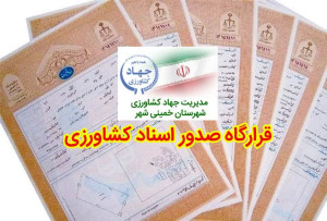 افزایش ارزش اراضی کشاورزی با دریافت سند مالکیت شش دانگ