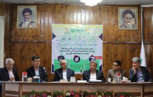 كاهش نیاز سرمایه‌گذاری توسعه خطوط انتقال با استفاده از حفاظتهای ویژه، ابتكاری بی نظیر در شبكه برق ایران است