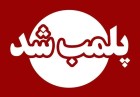 قصابی متخلف به دلیل کشتار غیرمجاز دام در کاشان پلمب شد