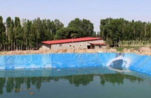 استخرهای ذخیره آب کشاورزی در صدر حوادث غرق‌شدگی