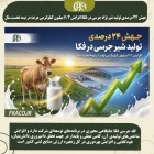 افزایش ۶.۲ میلیون کیلوگرمی عرضه شیر نژاد جرسی نیمه نخست سال