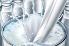افزایش ۶.۲ میلیون کیلوگرمی عرضه شیر نژاد جرسی نیمه نخست سال