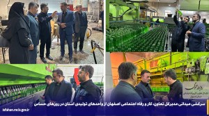 سرکشی میدانی از واحدهای تولیدی استان در روزهای حساس