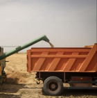 ۳۳ هزار تن گندم در اصفهان خرید تضمینی شد
