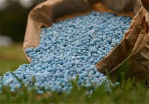 تأمین ۴۷ هزار تُن نهاده برای تقویت تولید و امنیت غذایی