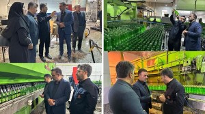 سرکشی میدانی از واحدهای تولیدی استان