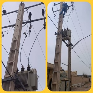 سیمبانی بر بلندای تعهد ایستاده