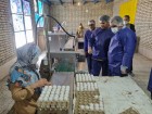 بازدید فرماندار کاشان از یک مرغداری تخم‌گذار به مناسبت روز ملی دامپزشکی