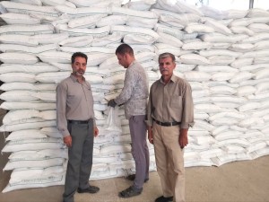 نمونه‌برداری از 200 تن کود  سولفات پتاسیم گرانوله تولیدی املاح معدنی ایران