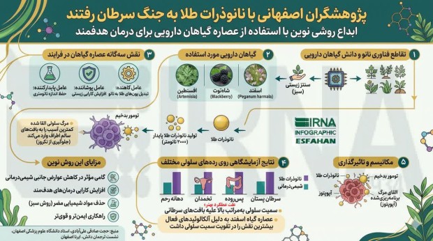 پژوهشگران اصفهانی با نانوذرات طلا به جنگ سرطان رفتند