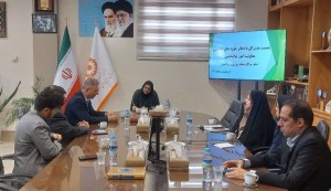نشست تخصصی معاونت امور توانبخشی با دفتر مراکز شبانه‌روزی و مراقبتی