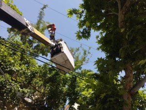 پایداری شبکه برق در مواجهه با شرایط جوی نامساعد