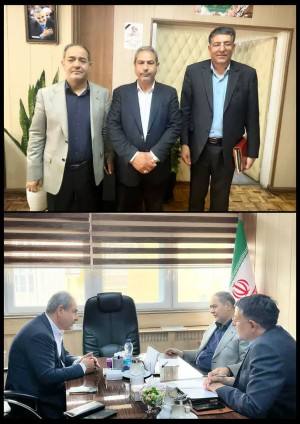 دیدار