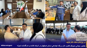 حضور میدانی در شرکت کشت و دام گلدشت نمونه