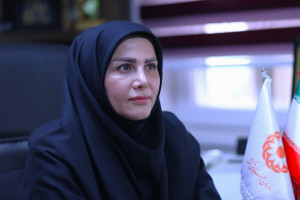 ورود وزارت نفت، پتروشیمی و استانداری‌ها به حمایت از مسکن مددجویان