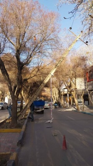 اقدام فوری نیروهای عملیاتی