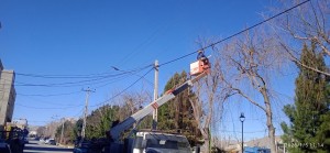 اجرای عملیات شاخه‌بری